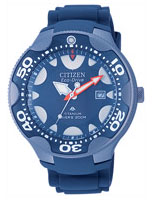 Diver200mt.EcoDrive correa caucho.jpg